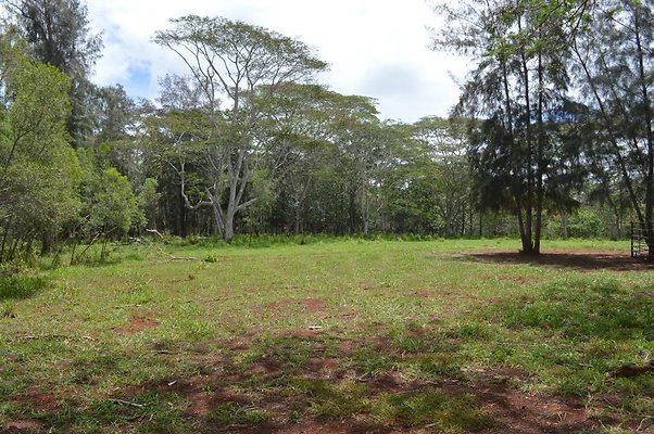 th DSC 0168 th DSC 0168