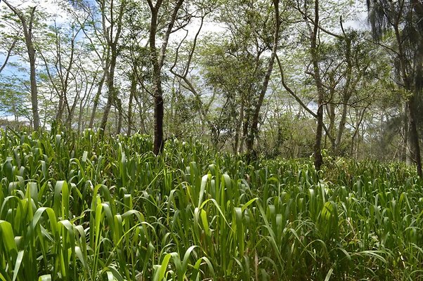 th DSC 0187 th DSC 0187