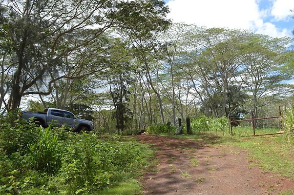 th DSC 0176 th DSC 0176