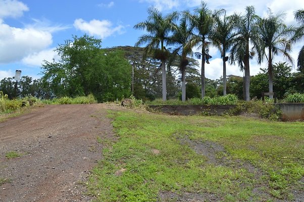 th DSC 0204 th DSC 0204