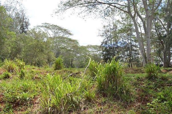 th DSC 0177 th DSC 0177