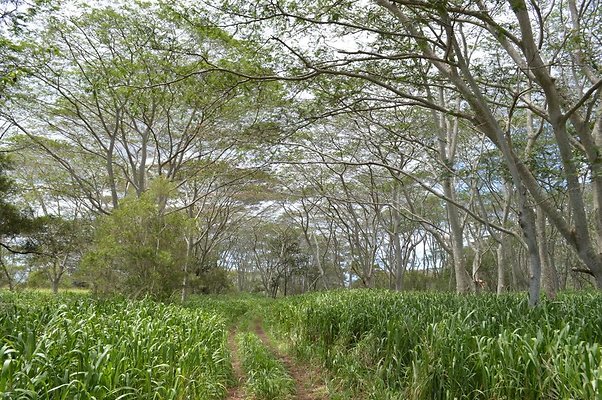 th DSC 0194 th DSC 0194