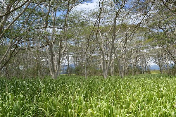 th DSC 0195 th DSC 0195