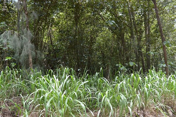 th DSC 0184 th DSC 0184