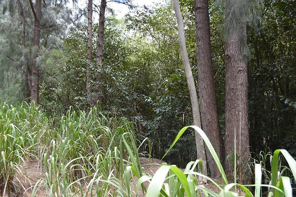 th DSC 0183 th DSC 0183