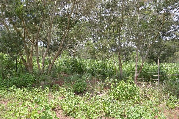 th DSC 0151 th DSC 0151