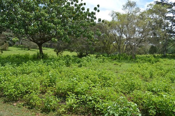 th DSC 0144 th DSC 0144