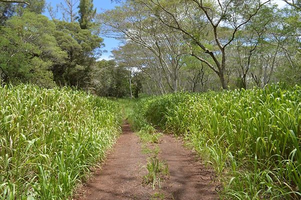 th DSC 0191 th DSC 0191