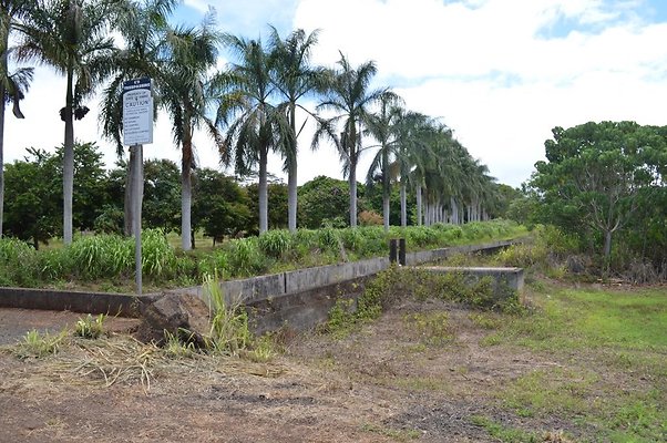 th DSC 0214 th DSC 0214