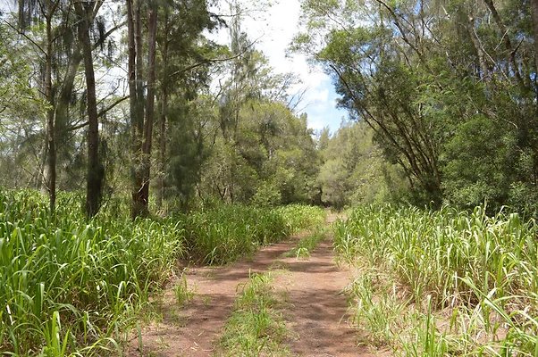 th DSC 0188 th DSC 0188