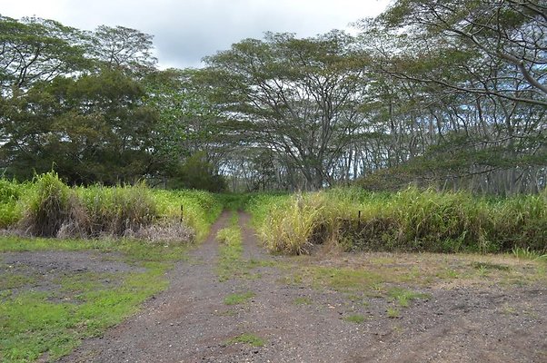 th DSC 0216 th DSC 0216