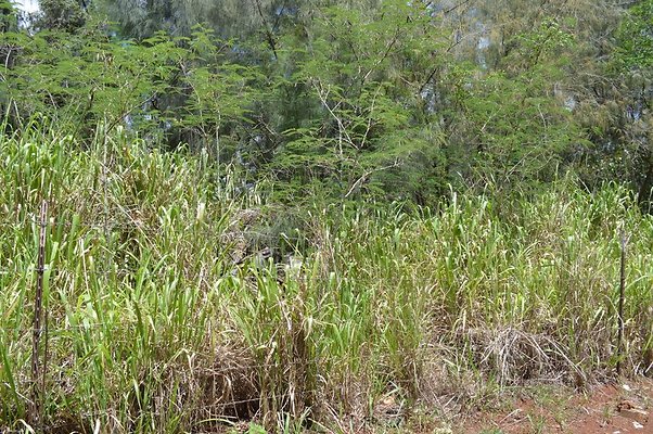 th DSC 0164 th DSC 0164