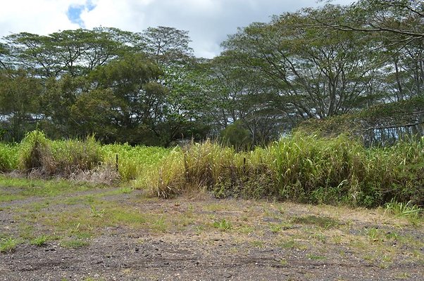 th DSC 0207 th DSC 0207