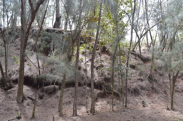 th DSC 0181 th DSC 0181