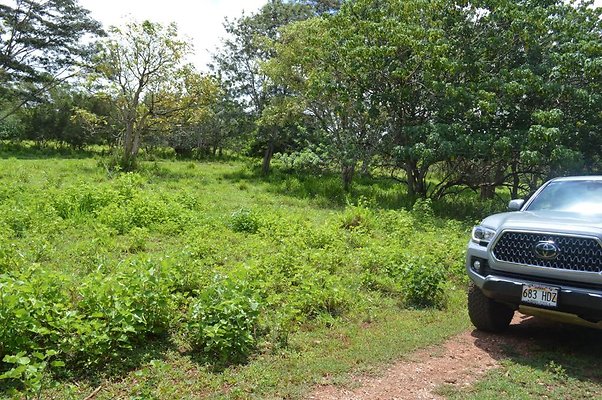 th DSC 0145 th DSC 0145