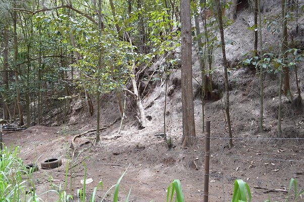 th DSC 0186 th DSC 0186