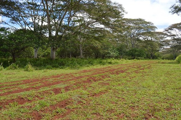 th DSC 0160 th DSC 0160