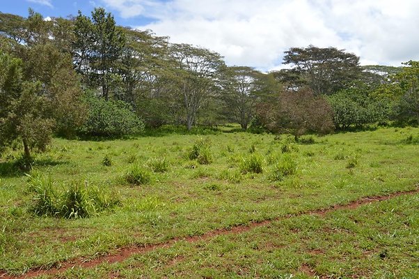 th DSC 0152 th DSC 0152