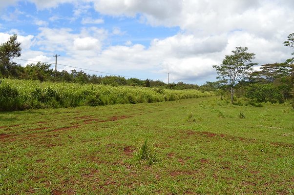 th DSC 0162 th DSC 0162