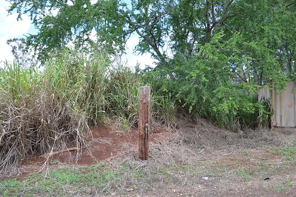 th DSC 0221 th DSC 0221