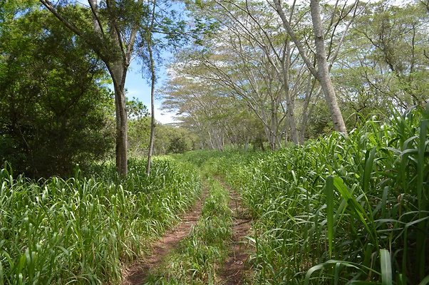 th DSC 0193 th DSC 0193