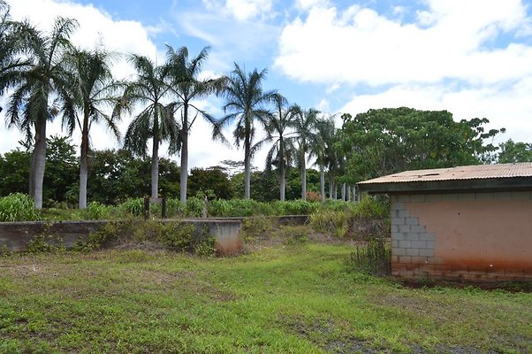 th DSC 0220 th DSC 0220