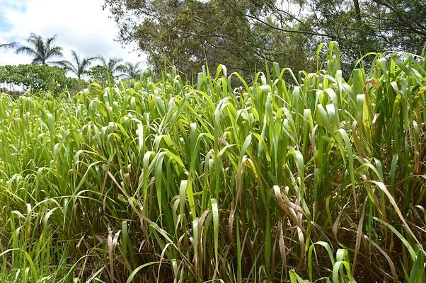 th DSC 0195b th DSC 0195b