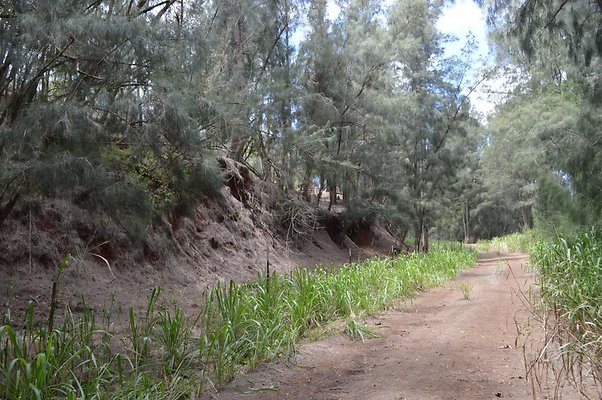 th DSC 0182 th DSC 0182