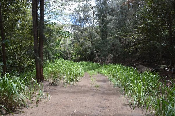 th DSC 0185 th DSC 0185