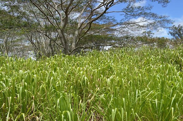 th DSC 0197 th DSC 0197