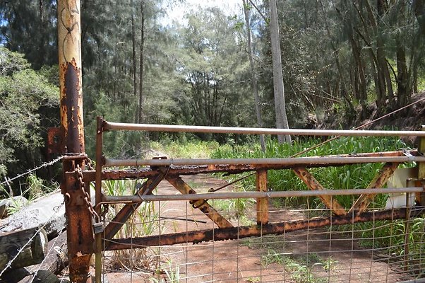 th DSC 0174 th DSC 0174