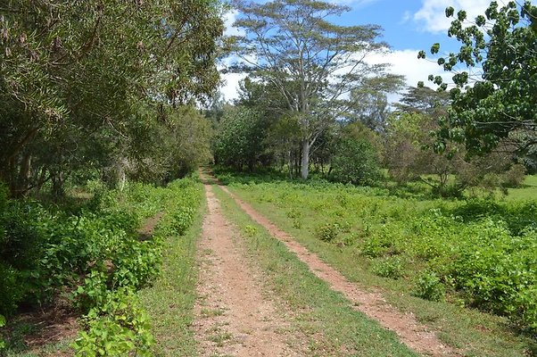 th DSC 0143 th DSC 0143