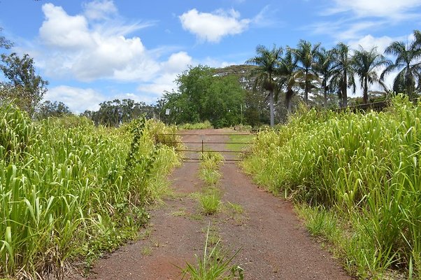 th DSC 0198 th DSC 0198