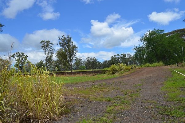 th DSC 0201 th DSC 0201