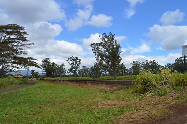 th DSC 0218 th DSC 0218