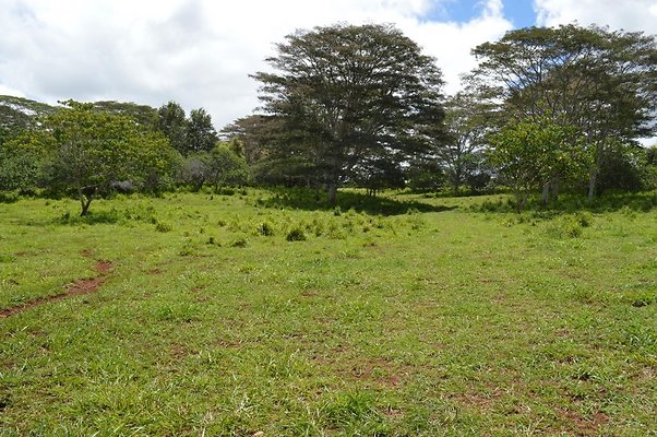 th DSC 0153 th DSC 0153