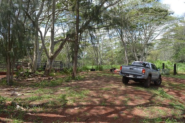 th DSC 0170 th DSC 0170