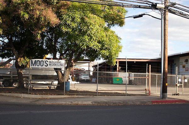 th IMG 8601 th IMG 8601