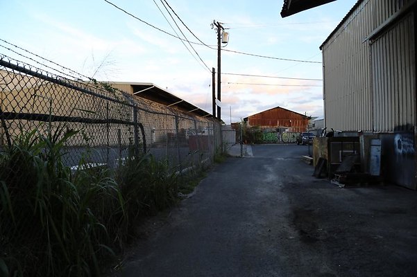 th IMG 6019 th IMG 6019