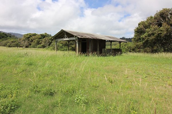 Gunstock Ranch Anitas Tack Room Lilia Tollefsen 808.738.7562