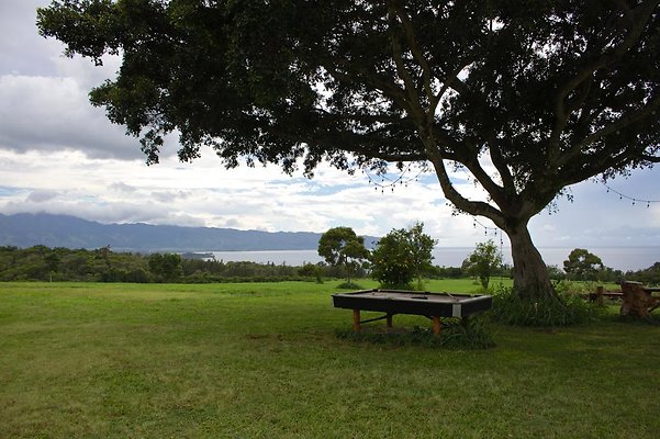 Outdoor Games Outdoor Games