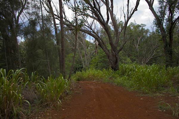 th IMG 4542 th IMG 4542