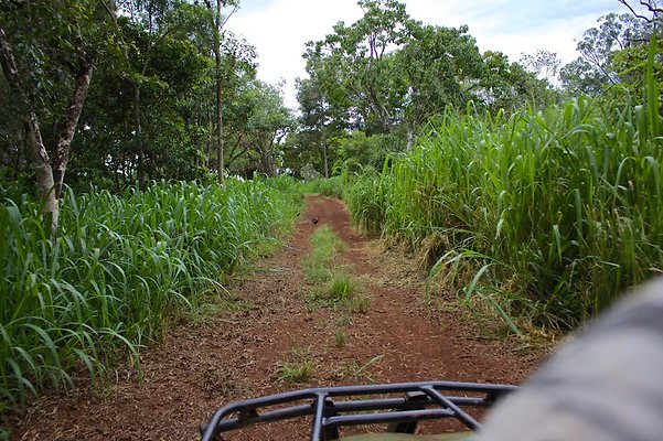 th IMG 4518 th IMG 4518