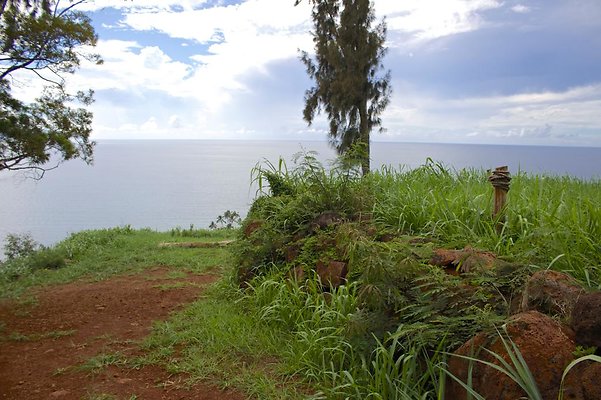 th IMG 4571 th IMG 4571