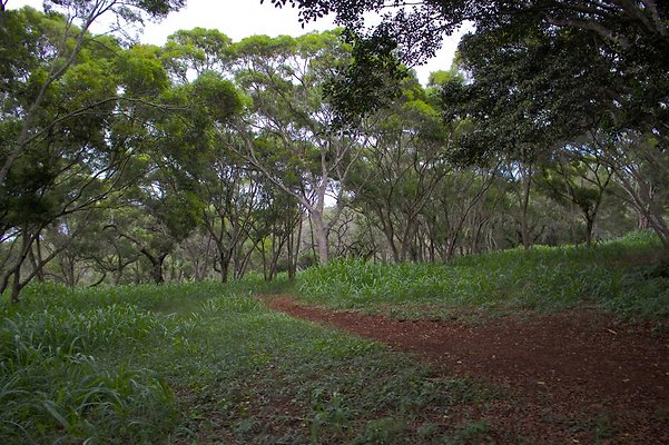 th IMG 4540 th IMG 4540