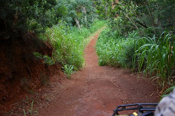 th IMG 4514 th IMG 4514