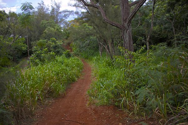 Trails:Roads Trails:Roads