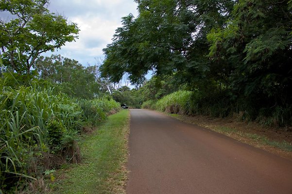 th IMG 4549 th IMG 4549