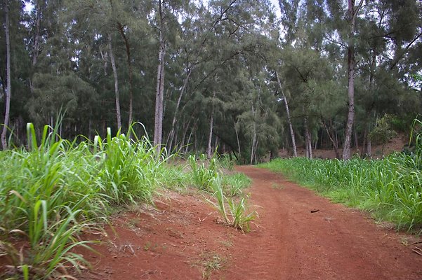 th IMG 4516 th IMG 4516