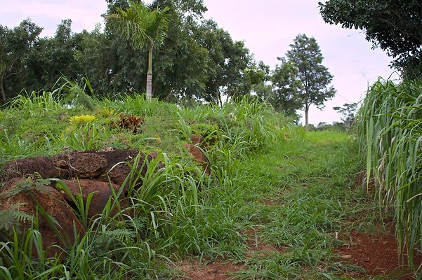 th IMG 4570 th IMG 4570